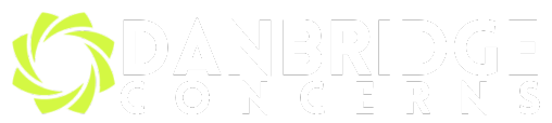 DanBridge Concerns